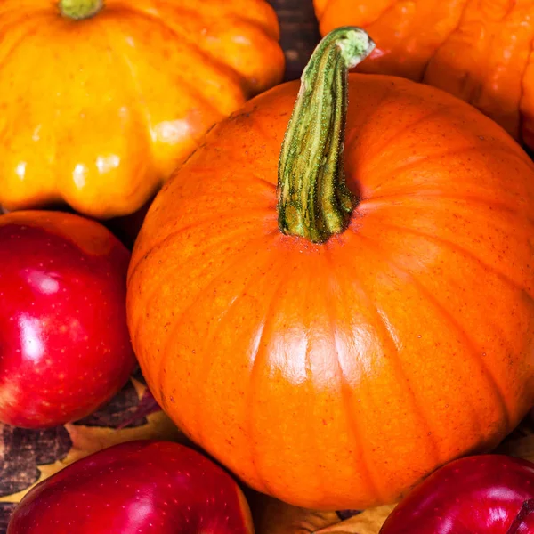 Oogst Thanksgiving Achtergrond Met Pompoenen Appels Gevallen Bladeren Houten Achtergrond — Stockfoto