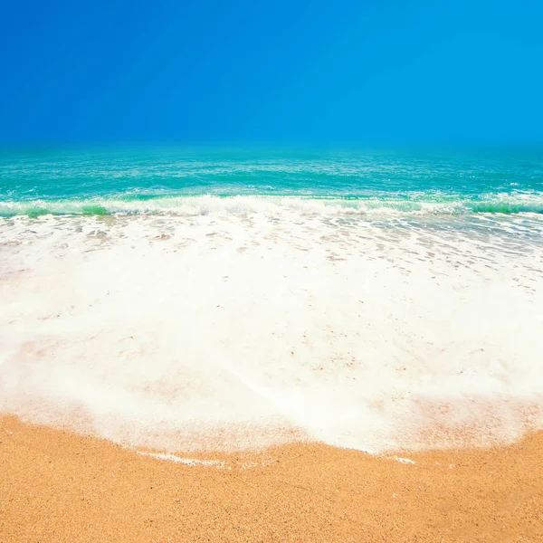 Playa Arena Verano Bajo Cielo Azul —  Fotos de Stock