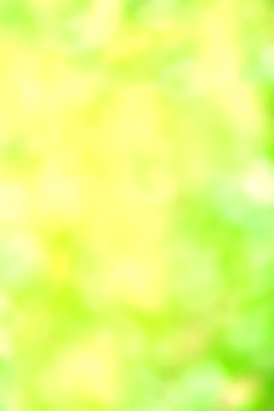 Розмитий Яскравий Літній Фон Абстрактний Барвистий Зелений Боке Дерева — стокове фото