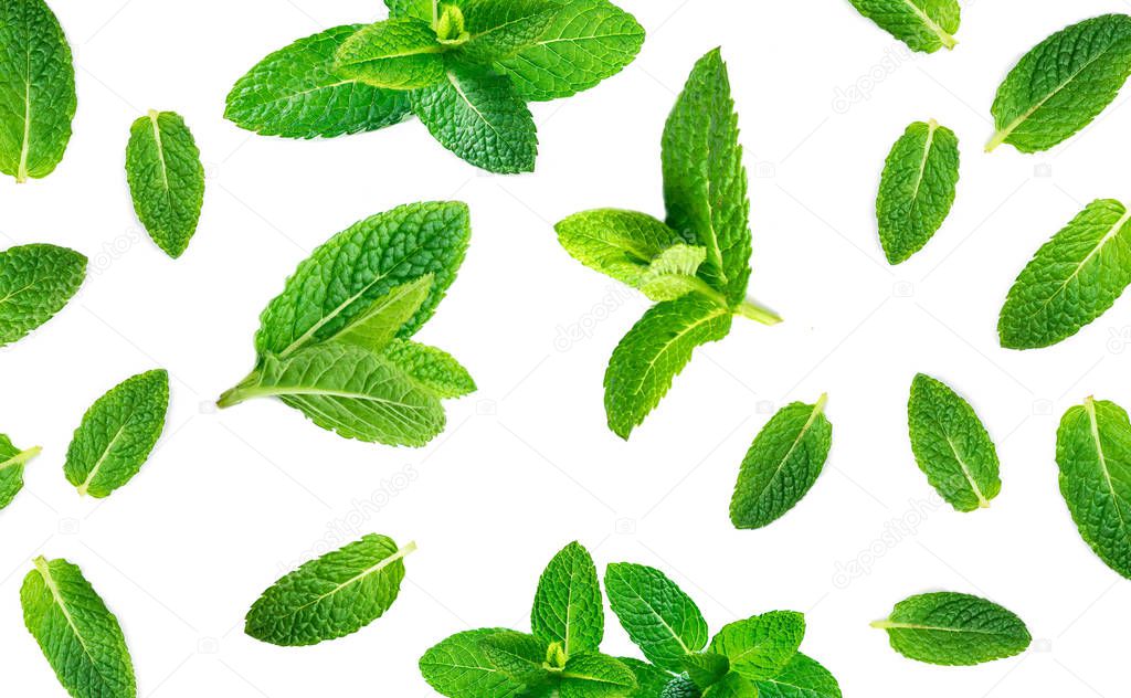 Fresh mint leaves pattern isolated on white background, top view. Close up of peppermin