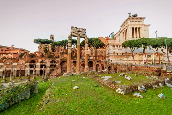 Dia Verão Início Manhã Fórum Romano Roma Itália — Fotografia de Stock