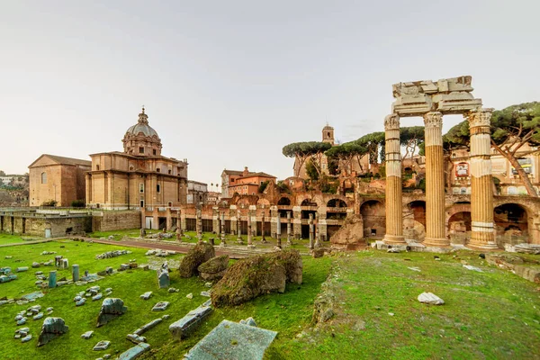 Dia Verão Início Manhã Fórum Romano Roma Itália — Fotografia de Stock