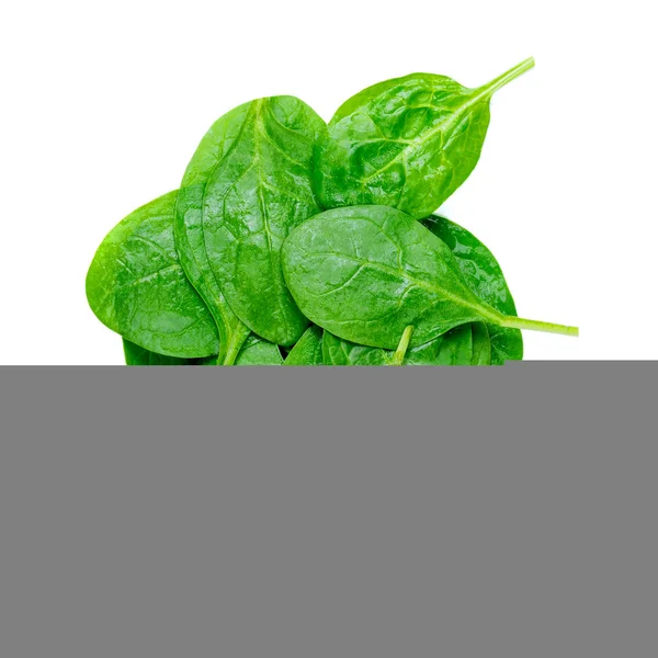 Haufen Frischer Grüner Spinatblätter Isoliert Auf Weißem Hintergrund — Stockfoto