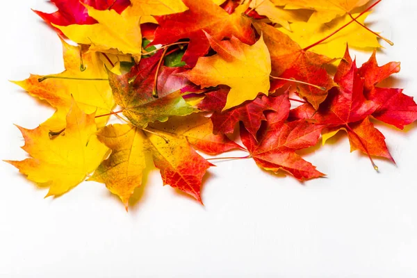 Hojas Otoño Sobre Fondo Blanco Plano — Foto de Stock