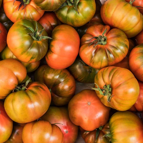 Gula Tomater Bakgrund Grupp Tomater Ovanifrån — Stockfoto