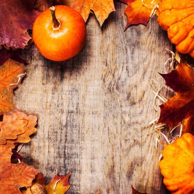 Şükran günü kenarlık veya turuncu kabak ve renkli çerçeveli ahşap arka plan üzerinde bırakır. 