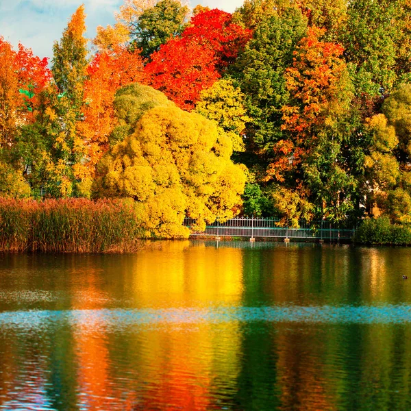 Prachtig Herfst Park Met Kleurrijke Bladeren Bomen Meer Herfst Landscape — Stockfoto