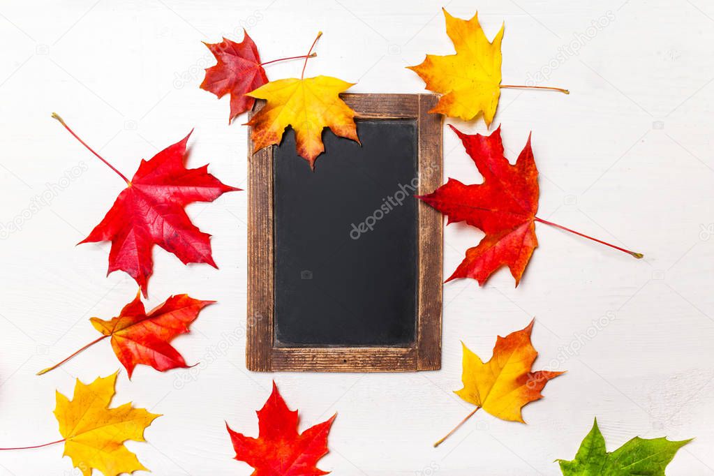 Autumn leaves border on a chalkboard background with copy space. Back to School concept
