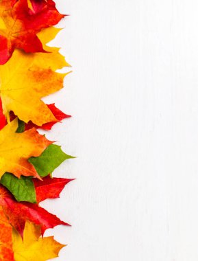 Beyaz arka plan üzerinde renkli Marple ile sonbahar çerçeve bırakır 