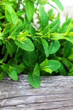 Tahta masadaki taze nane yaprakları