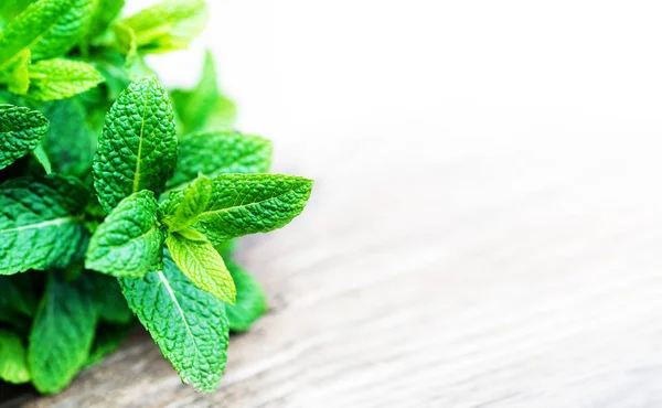 Fresh Mint Leaves Wooden Table — Stock Photo, Image