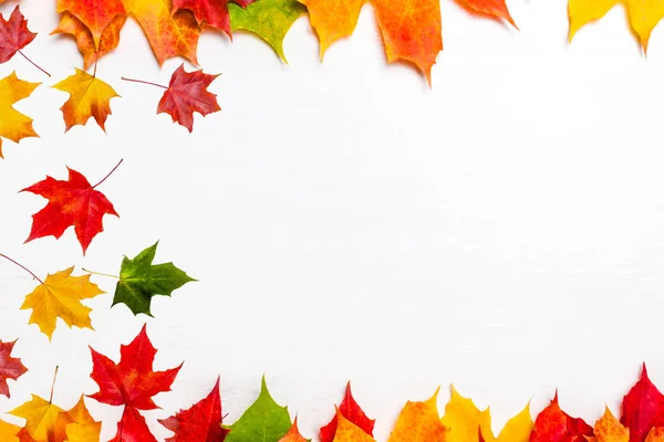 カラフルなマープルと秋のフレームの白い背景の葉します — ストック写真