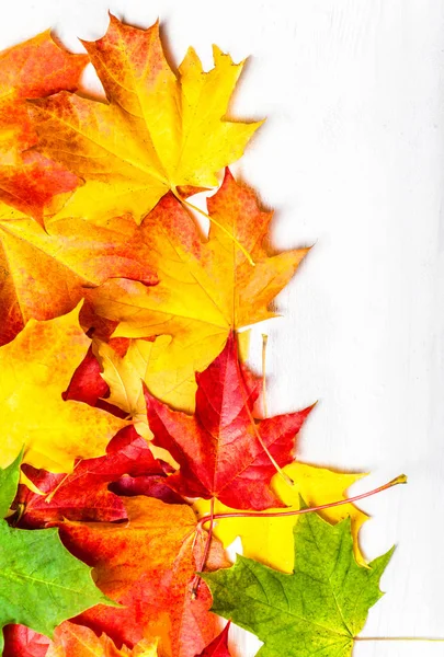 Hojas Otoño Sobre Fondo Blanco Planas Montón Hojas Rojas Amarillas — Foto de Stock