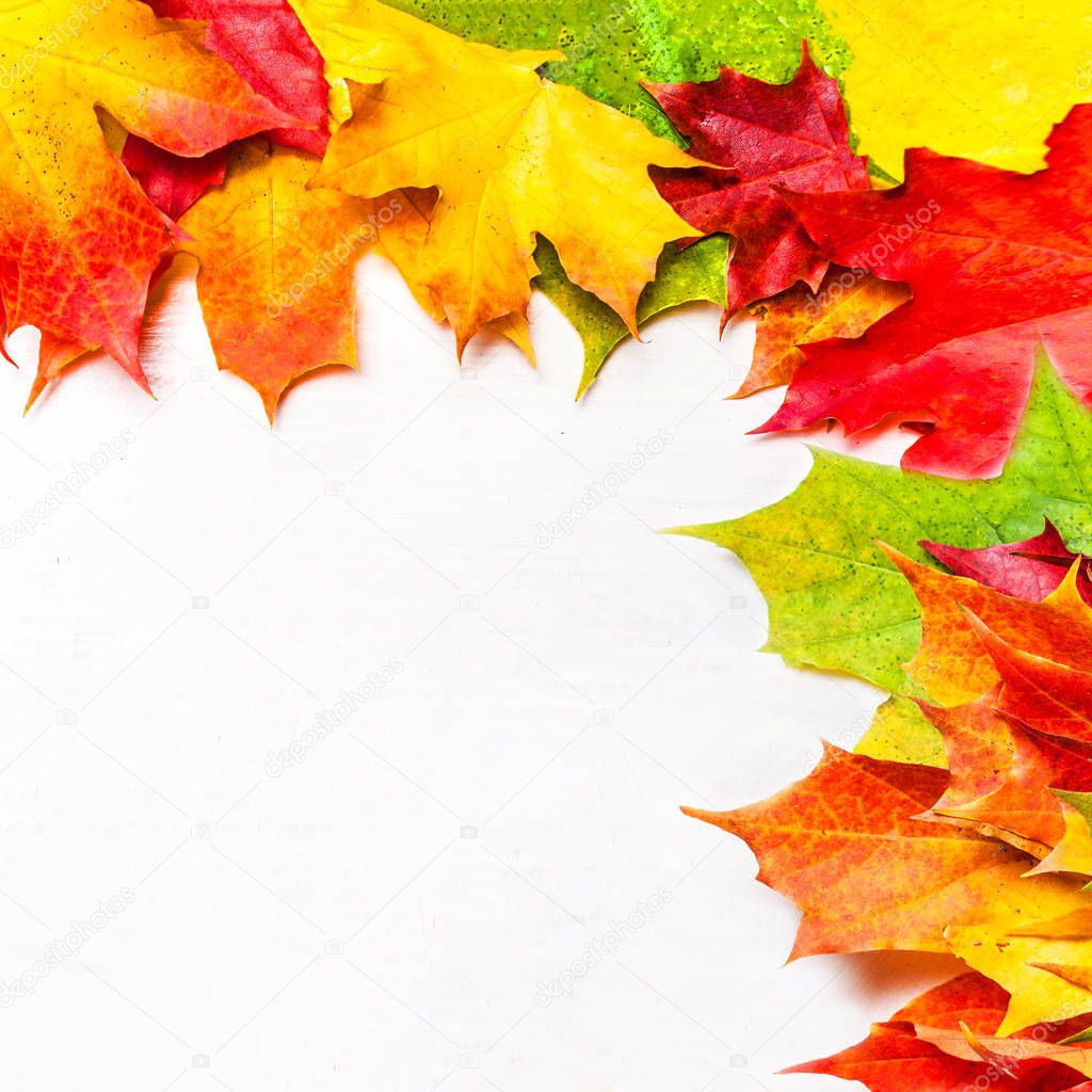 Autumn frame composition with autumn leaves on white background with Copy space.  Flat lay, top view