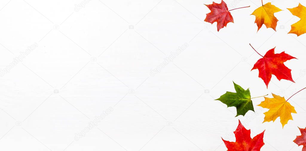 Autumn frame composition made of falling  autumn leaves on white background with Copy space.  Flat lay, top view