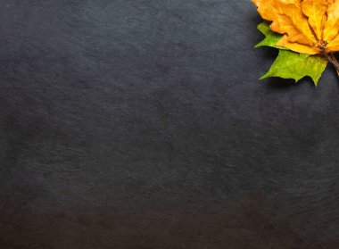 Sonbahar yelllow ile siyah kara tahta bırakır. Boşaltmak. Düz yatıyordu. Geri okul kavramı. 