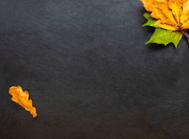 Siyah kara tahta ile sarı sonbahar yaprakları 