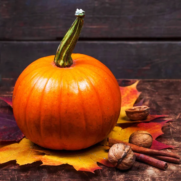 Herfst Pompoen Met Gele Bladeren Noten — Stockfoto