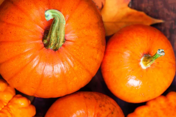 Thanksgiving Achtergrond Met Oranje Pompoenen — Stockfoto