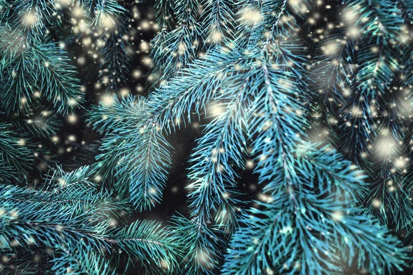 Vánoční Pozadí Větve Stromů Jedle Klesající Bílý Sníh — Stock fotografie