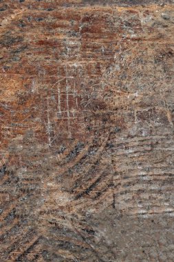 Beyaz yumuşak ahşap yüzey. Parlak ahşap doku arka plan, doğal masa üstü vie