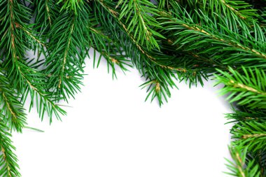 Beyaz arka plan üzerinde izole Noel ağaç dalları. Düz yatıyordu. Uzay kopyalayın. Doğa yeni yıl tebrik kartı