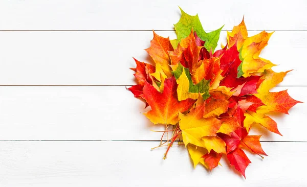 Červené Žluté Hnědé Listy Podzim Podzimní Barevné Marplová Odjíždí Bílém — Stock fotografie