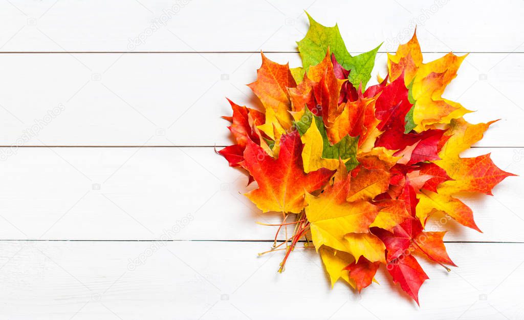 Red, Yellow and brown Fall leaves.  Autumn colorful marple leaves on white wooden background with copyspace 