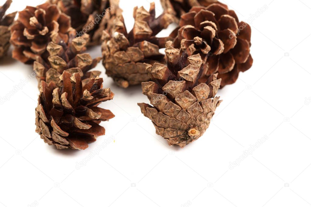 Heap  of pine cones isolated on white. Close u