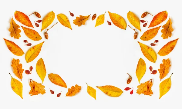 Autumn Composition Golden Maple Oak Leaves White Background Autumn Sale — Stock Photo, Image