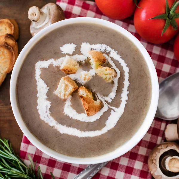 Mushroom Cream Soup Herbs Spices Homemade Country Styled Chanterelle Cream — Stock Photo, Image