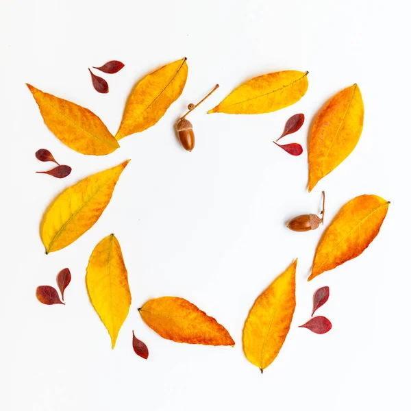 秋天的构图与金色的枫树和橡树叶的白色背景 秋天的框架 复制空间 — 图库照片