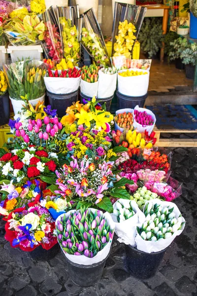 Varias Flores Plantas Una Pequeña Floristería — Foto de Stock