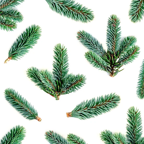 冷杉分支模式 松树枝 圣诞节 Confier 树孤立的白色背景 — 图库照片