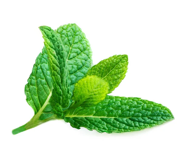 Fresh Mint Leaves Isolated White Background Raw Mint Peppermint Close — Stock Photo, Image