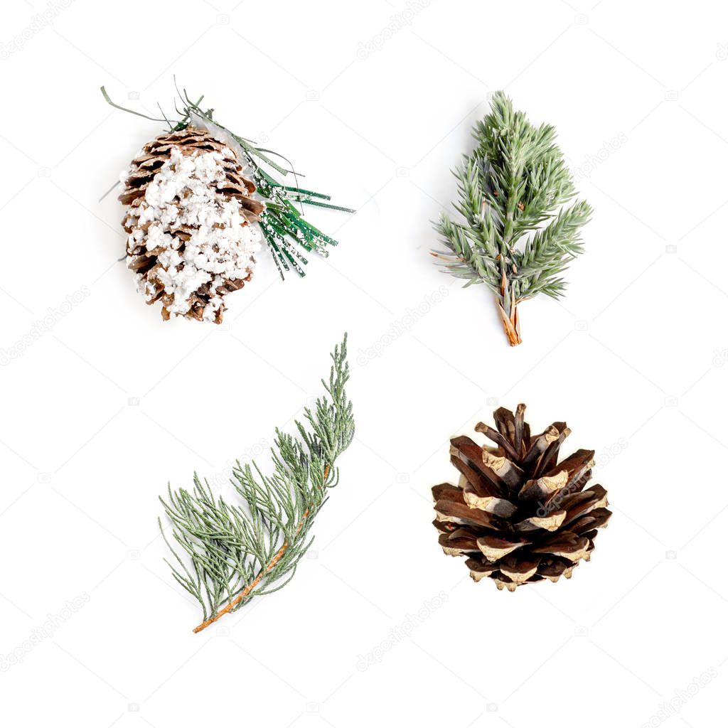 Fir tree  branches and pine cones  isolated on the white background. Collection of Christmas decorations