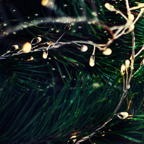 金色的花环灯和冷杉树近在咫尺 圣诞装饰品 节日的想法 — 图库照片