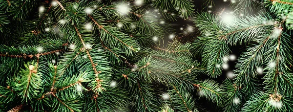落ちてくる白い雪とモミの木の枝でクリスマスの背景 メリー クリスマスお祝いカード コピー スペース — ストック写真