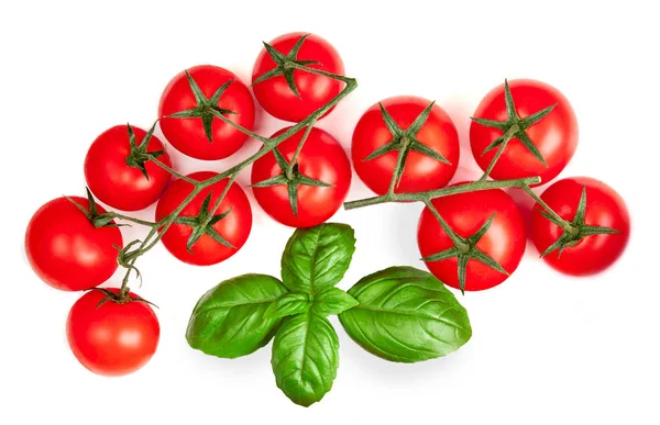 Tomates Feuilles Basilic Isolées Sur Fond Blanc — Photo