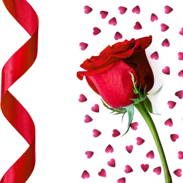 Carte Voeux Saint Valentin Avec Rose Rouge Ruban Coeurs Isolés — Photo