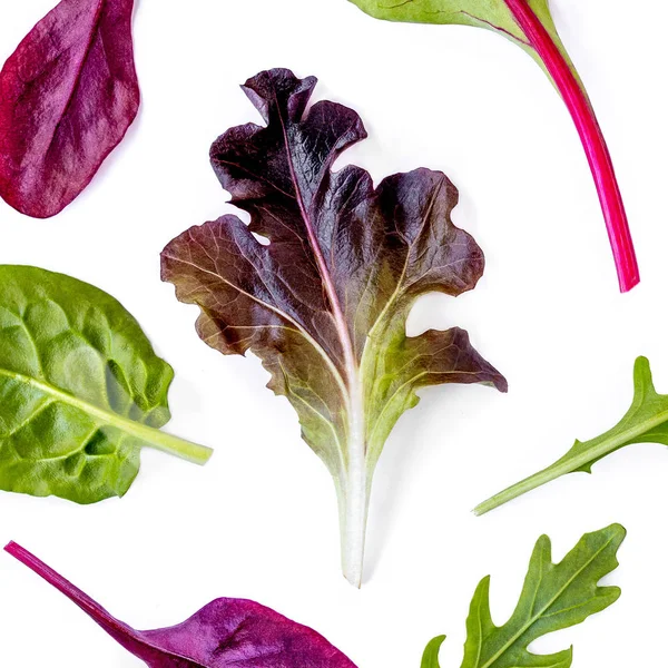 Pola Dengan Daun Salad Campuran Daun Salad Dengan Spinach Chard — Stok Foto