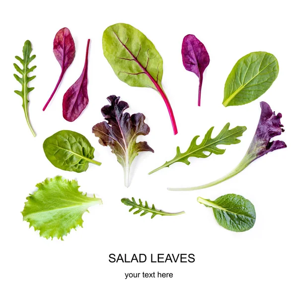 Salatblättermuster Isolierte Mischung Salatblätter Mit Spinat Mangold Salat Rucola Auf — Stockfoto