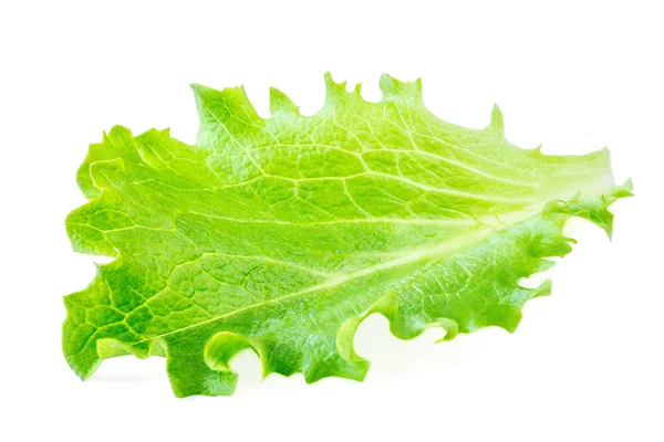 Ijsberg Sla Bladeren Geïsoleerd Witte Achtergrond Frisse Salade Bovenaanzicht — Stockfoto
