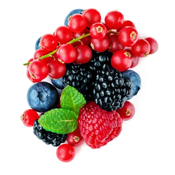 浆果混合在白色背景查出 混合的覆盆子 红醋栗 蓝莓和黑莓与薄荷叶的混合堆 顶视图 — 图库照片