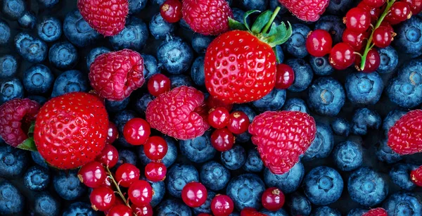 Letní Bobule Pozadí Čerstvé Berry Mix Jahody Maliny Červený Rybíz — Stock fotografie