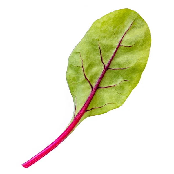 Salada Chard Leaf Isolada Sobre Fundo Branco Beterraba Doce Folha — Fotografia de Stock