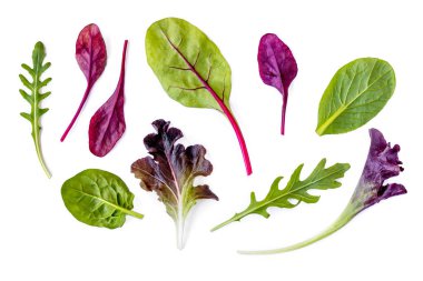 Salata koleksiyonu bırakır. İzole karışık salata yaprakları ile ıspanak, pazı, marul, beyaz zemin üzerine rucola. Düz yatıyordu