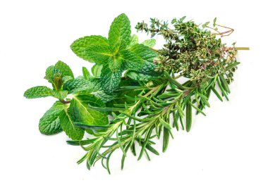 Taze baharat ve otlar beyaz arka plan üzerinde izole. Nane, biberiye, kekik Grup