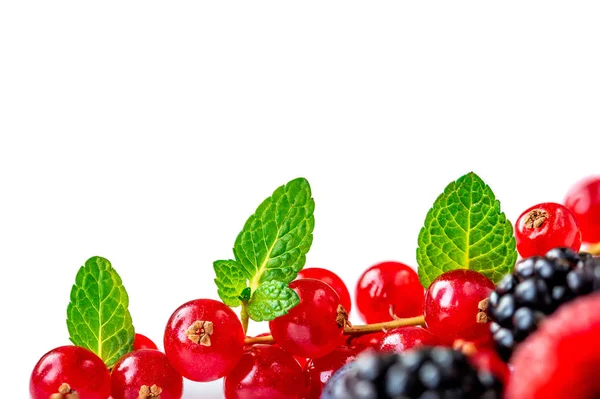 新鲜浆果框架隔离在白色的背景 顶部的看法 由覆盆子 黑莓和薄荷叶制成的边框 — 图库照片