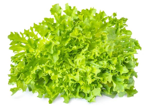 Salade blad. Sla hoofd geïsoleerd op een witte achtergrond. Concept — Stockfoto